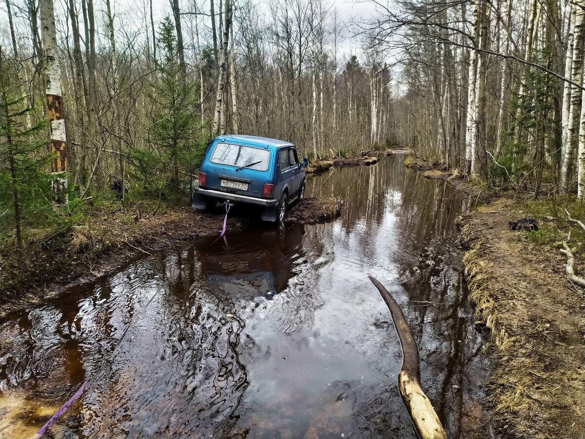 Как засадить машину в грязи Ржевского полигона и вылезти оттуда живым