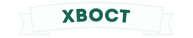 Хвост