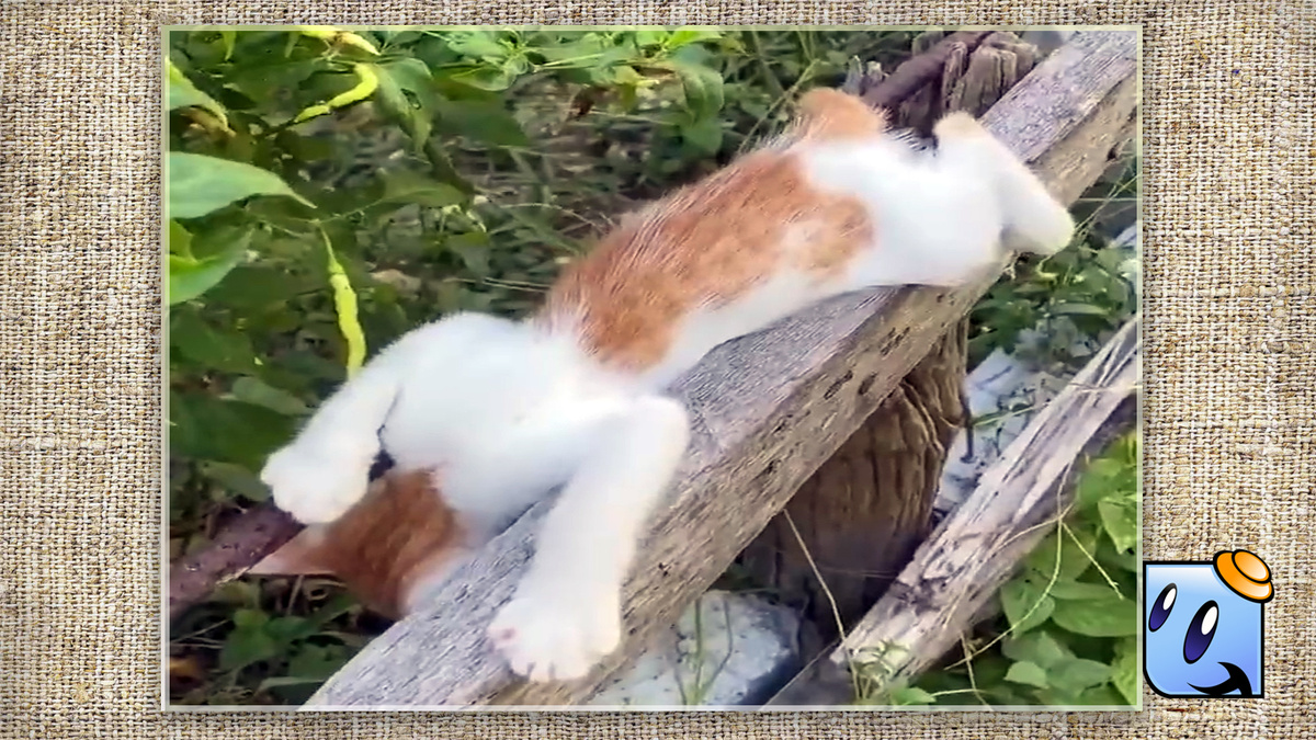 До подушки оставался метр! Источник YouTube.