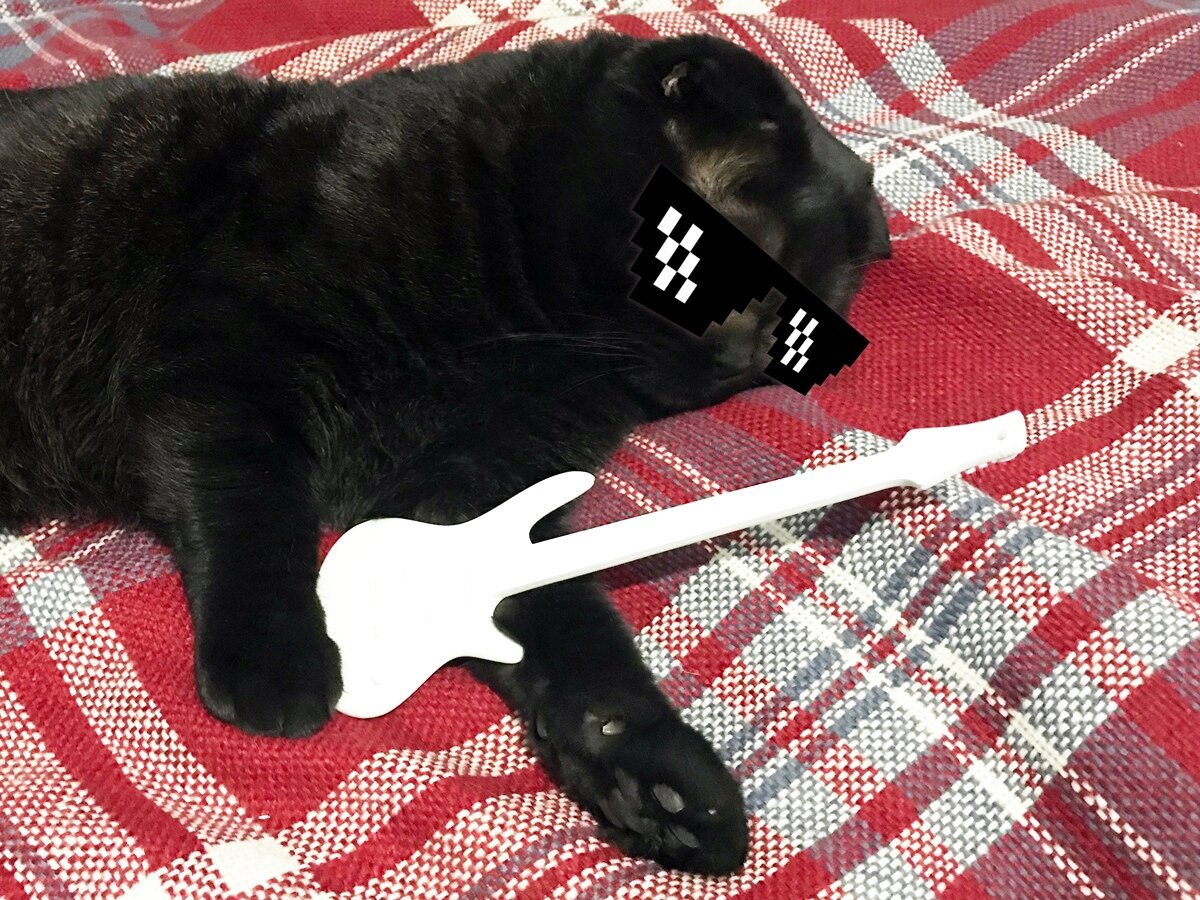 Владелец гитары.