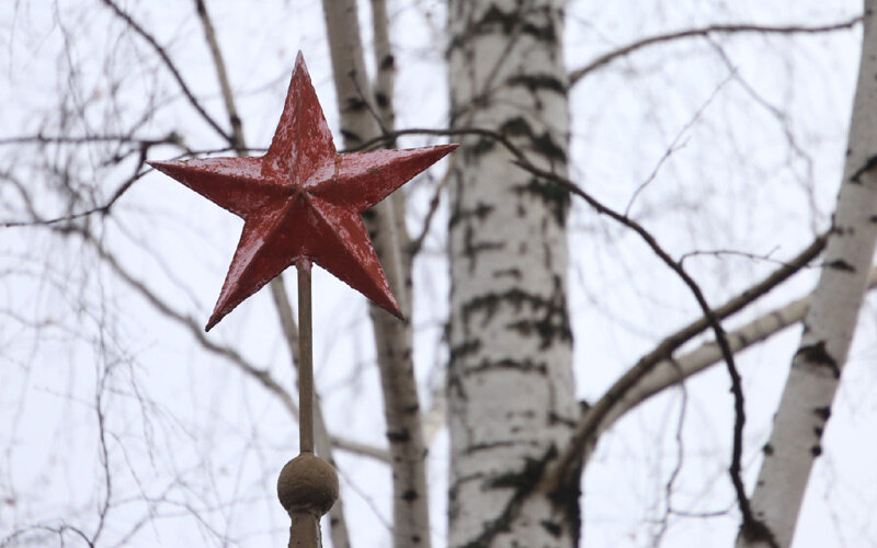 Фото ч/з поиск Яндекс Картинки