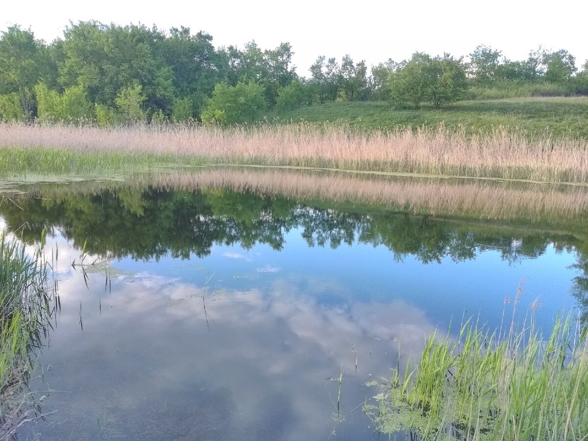 Малая река.