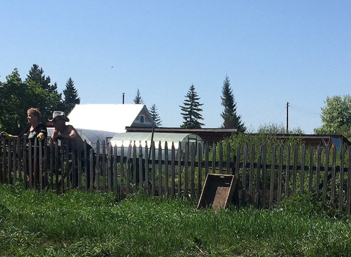 На фото дачники...