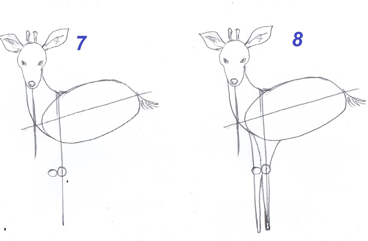 Как нарисовать олененка поэтапно