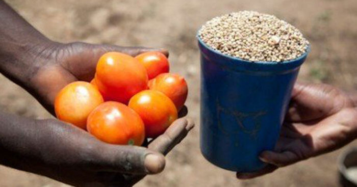  Прямой обмен позволял древним людям торговать с другими племенами./