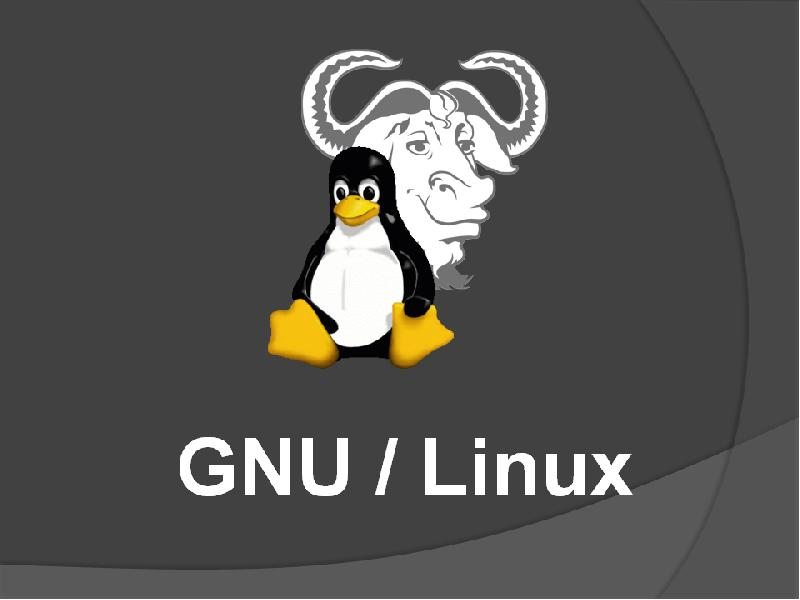 Узнаваемые персонажи