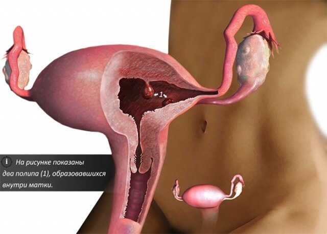 Изображение из открытых источников