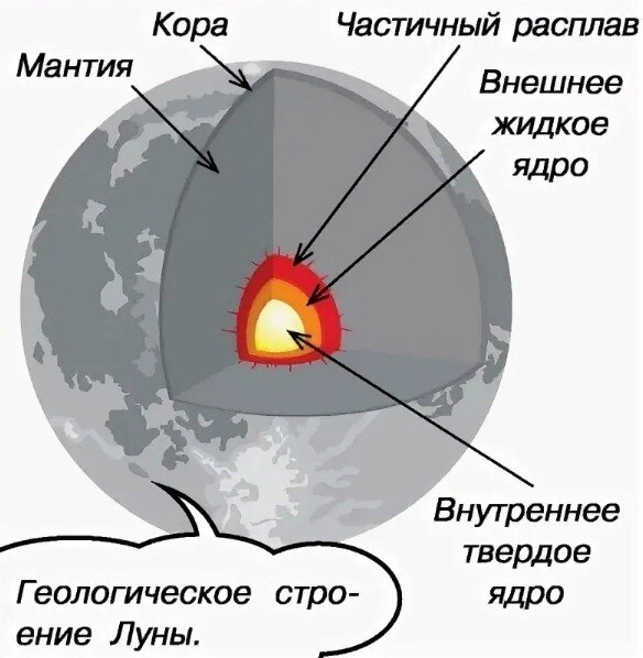 Схема строения луны