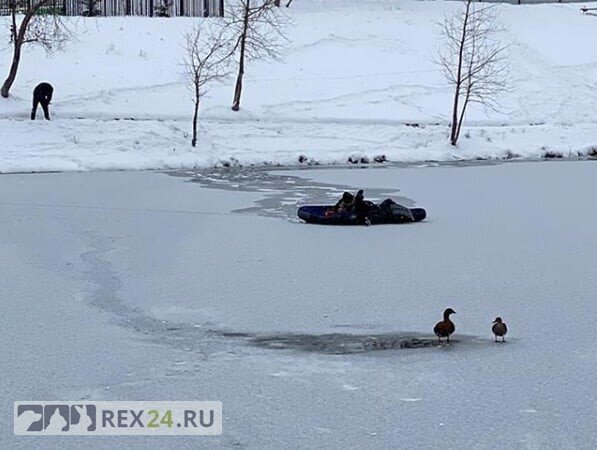 Фото: vk.com/revizorro_nsk