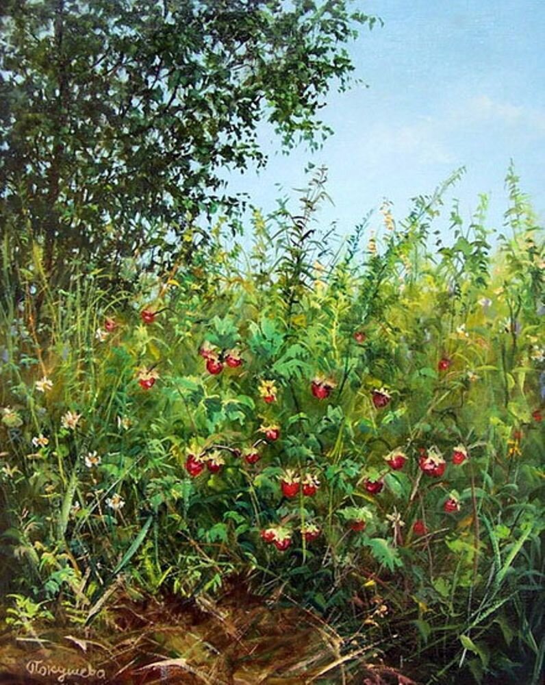 ������� ����� ���������.