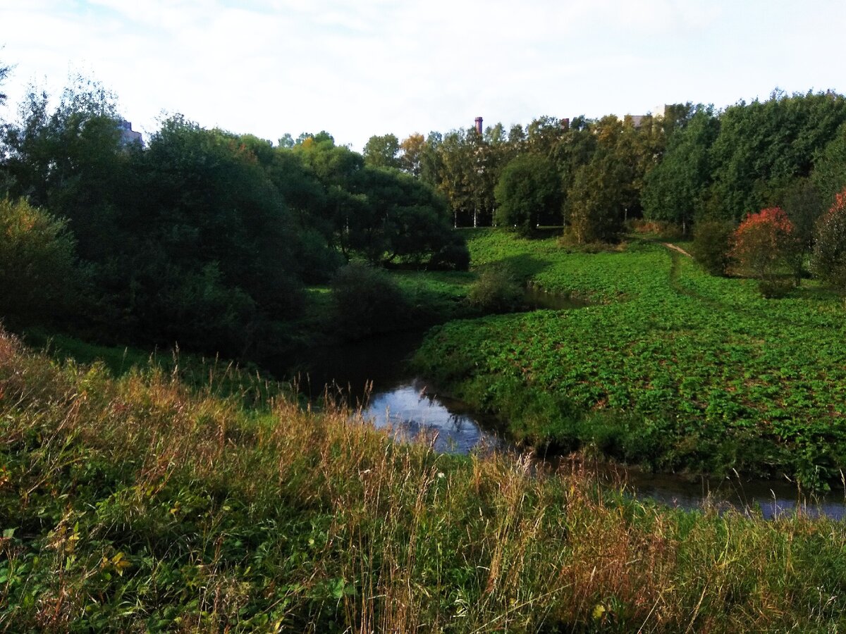 парка александрино