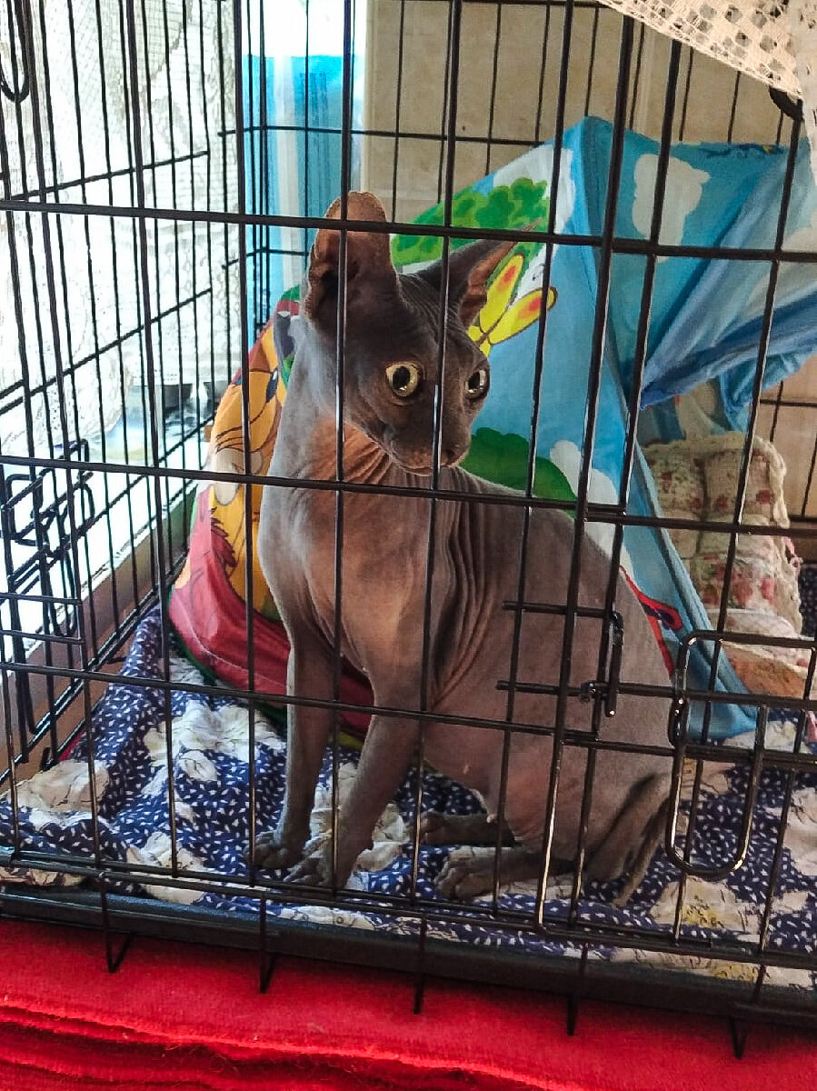 Фото: Шаталов Андрей