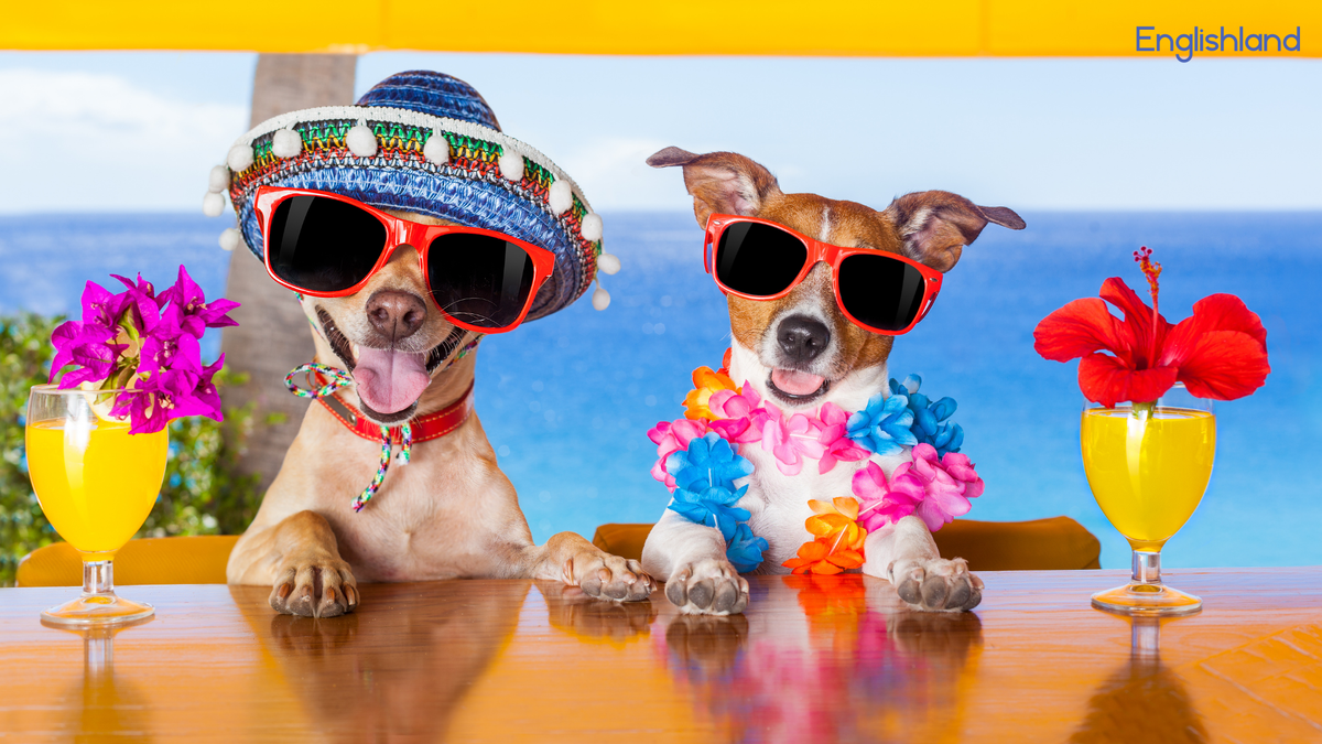 Коллаж создан автором канала