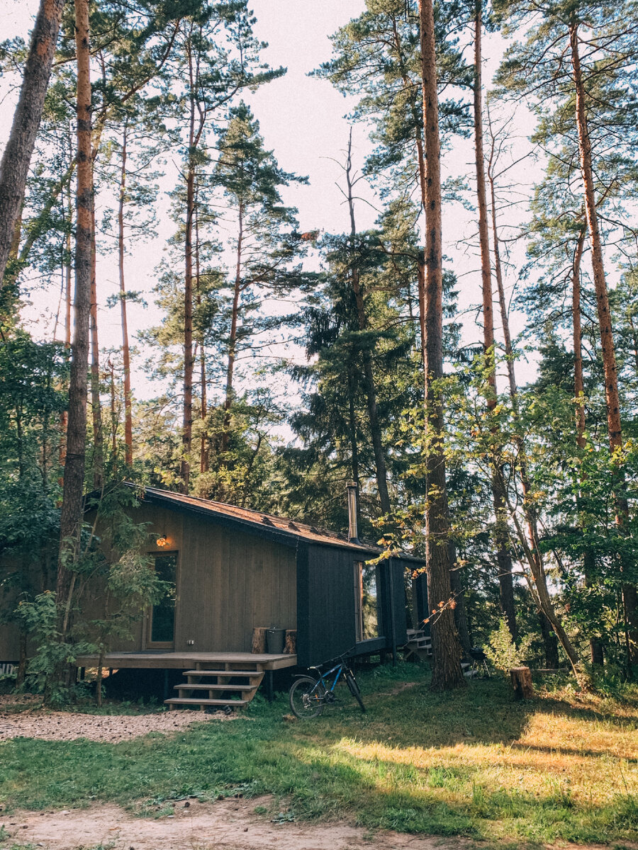 Домики в лесу