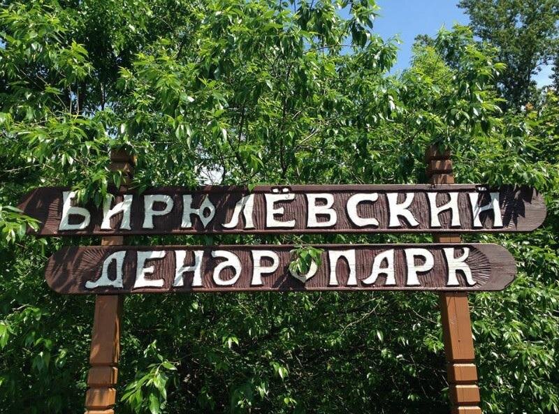 Бирюлевский дендропарк