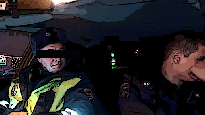 Инопланетный гость...