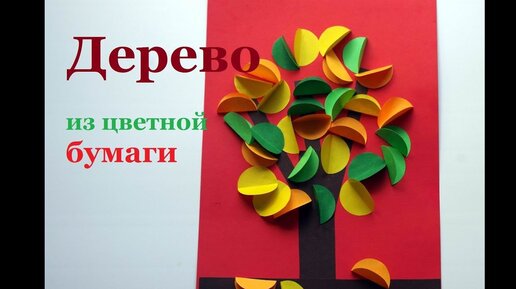 Что делать, если на автомобиль упало дерево