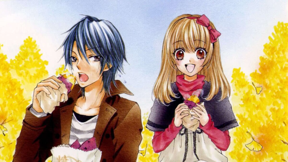 Изображение взято из открытых источников