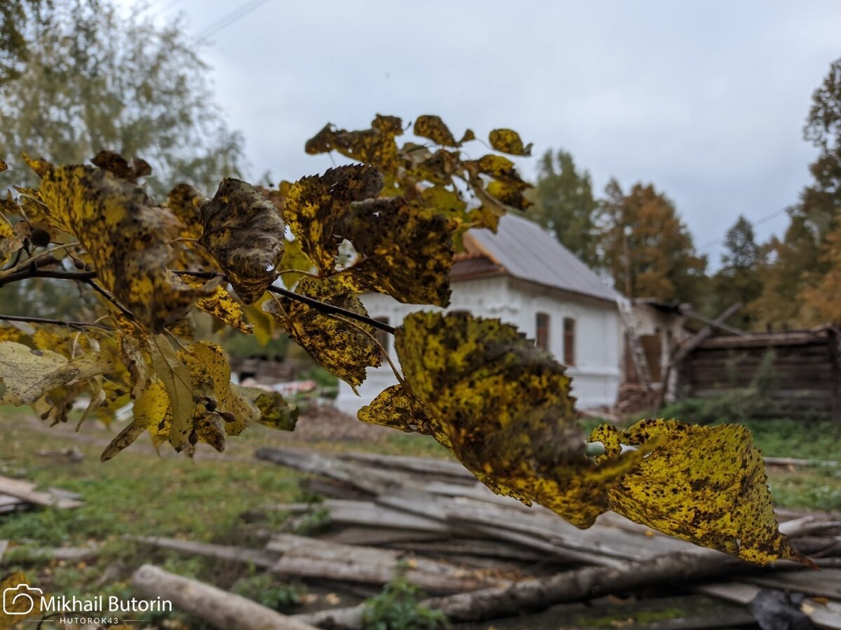Осень в деревне. 