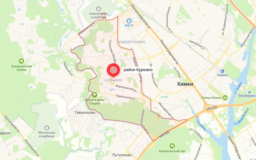 Куркино