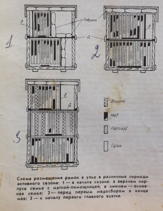 Схема расширения двухкорпусного улья. Схематическое расширение пчелиного гнезда. Размещение рамок в улье. Расположение рамок в корпусе улья.