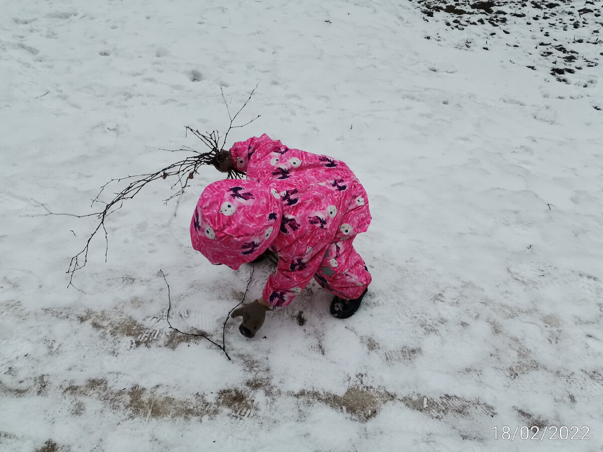 Дочь собирает палки