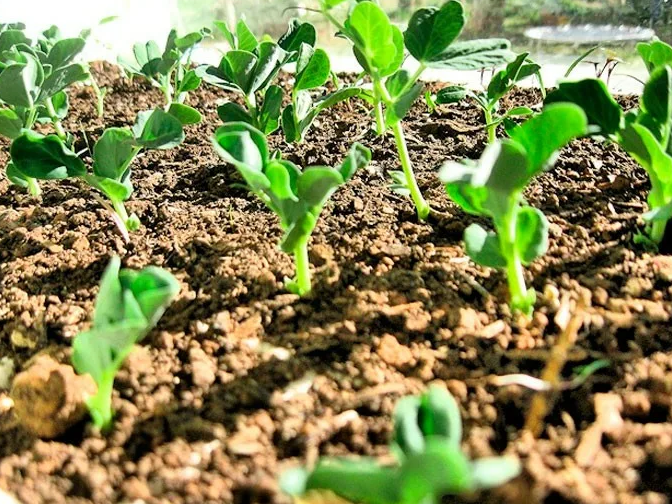 Фотография взята из источника proroslo.ru