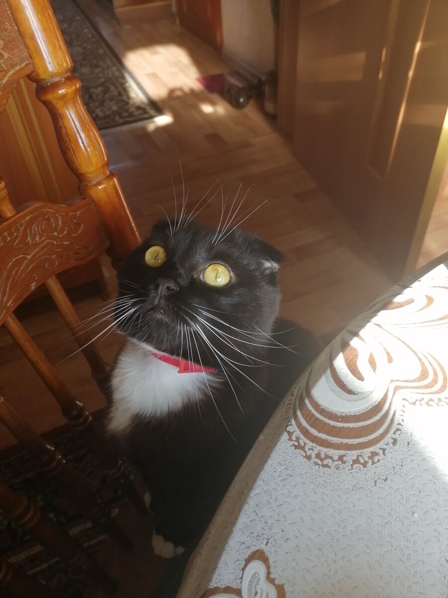 Смотрит на свое отражение на потолке😊