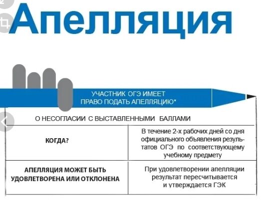 Как поддержать ребёнка перед экзаменом: фразы-спасатели | Адукар