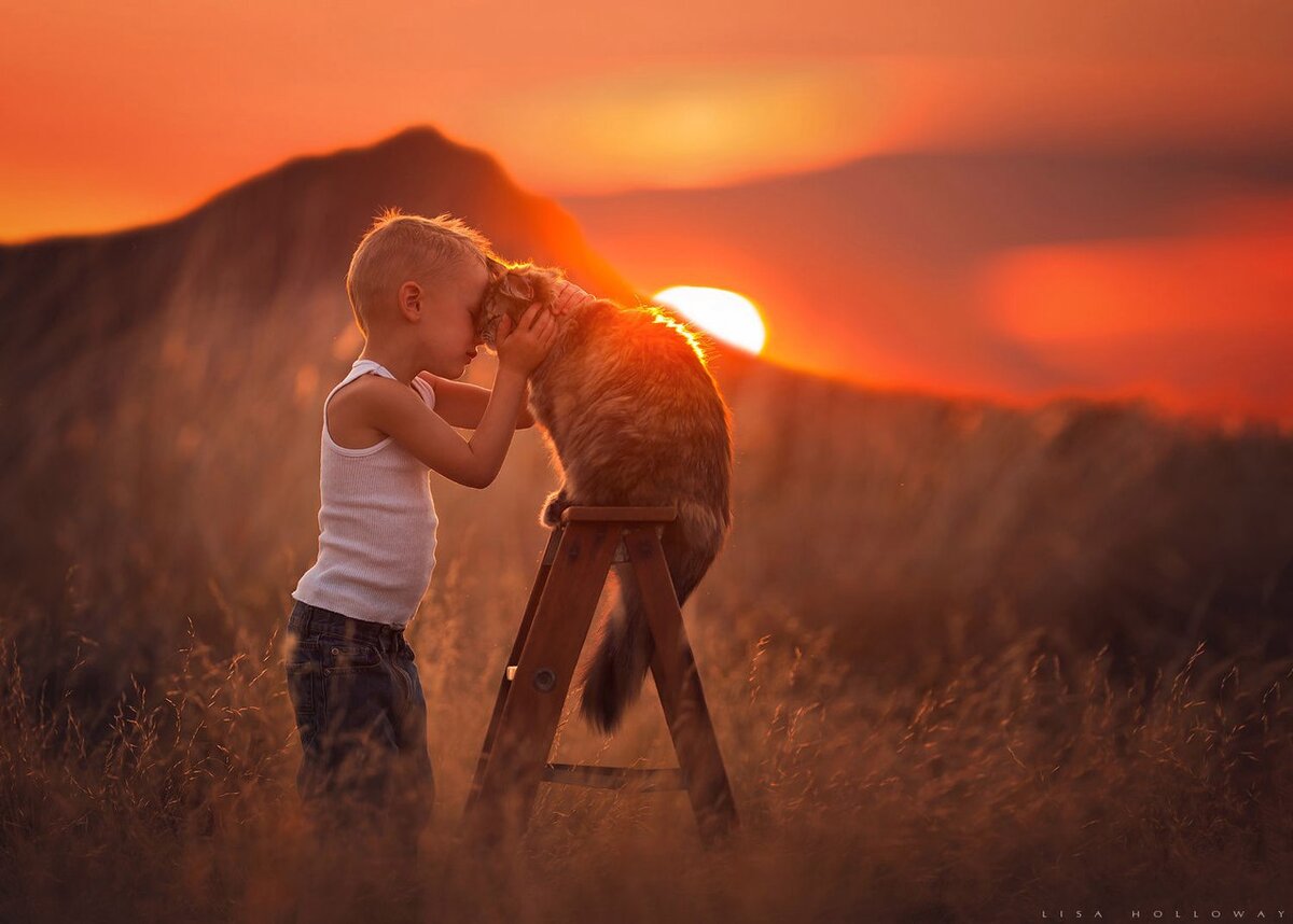 картинка из интернета