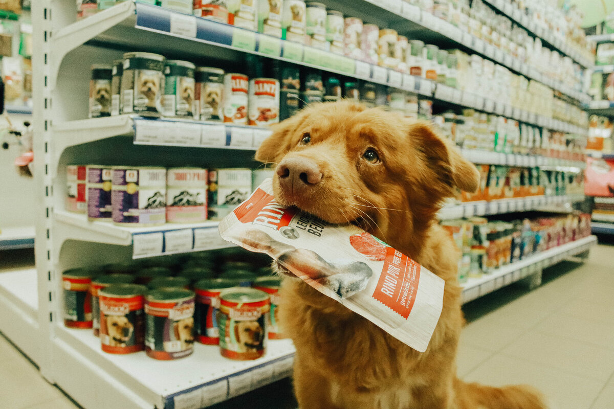 Товары для животных в ассортименте. Зоотовары реклама. Корм для животных зоомаг. Зоомаг. Выкладка зоотоваров в магазине.