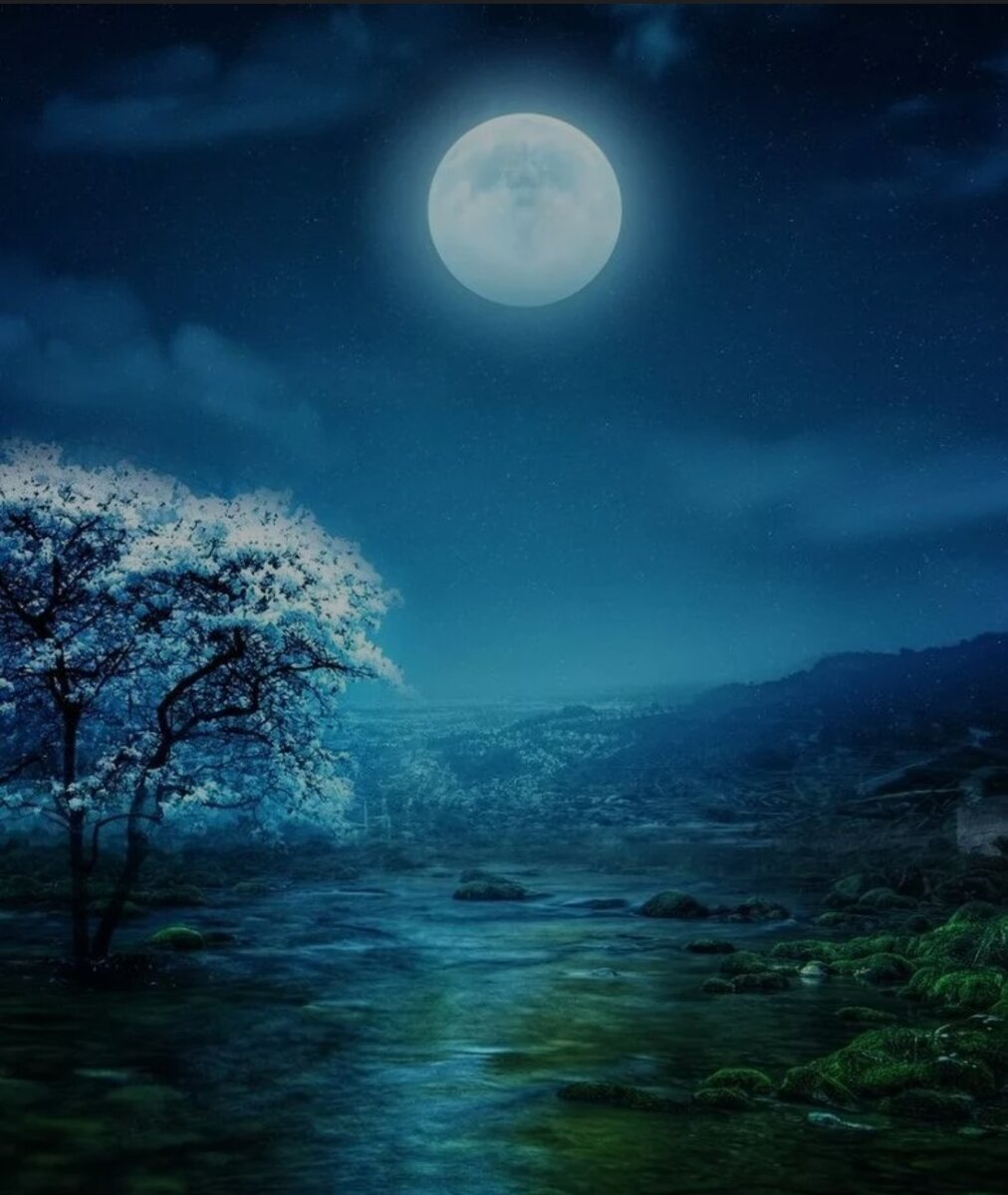 Яндекс картинки 