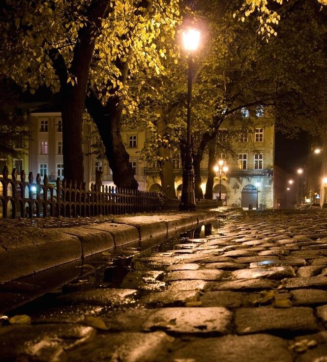 фото из интернета