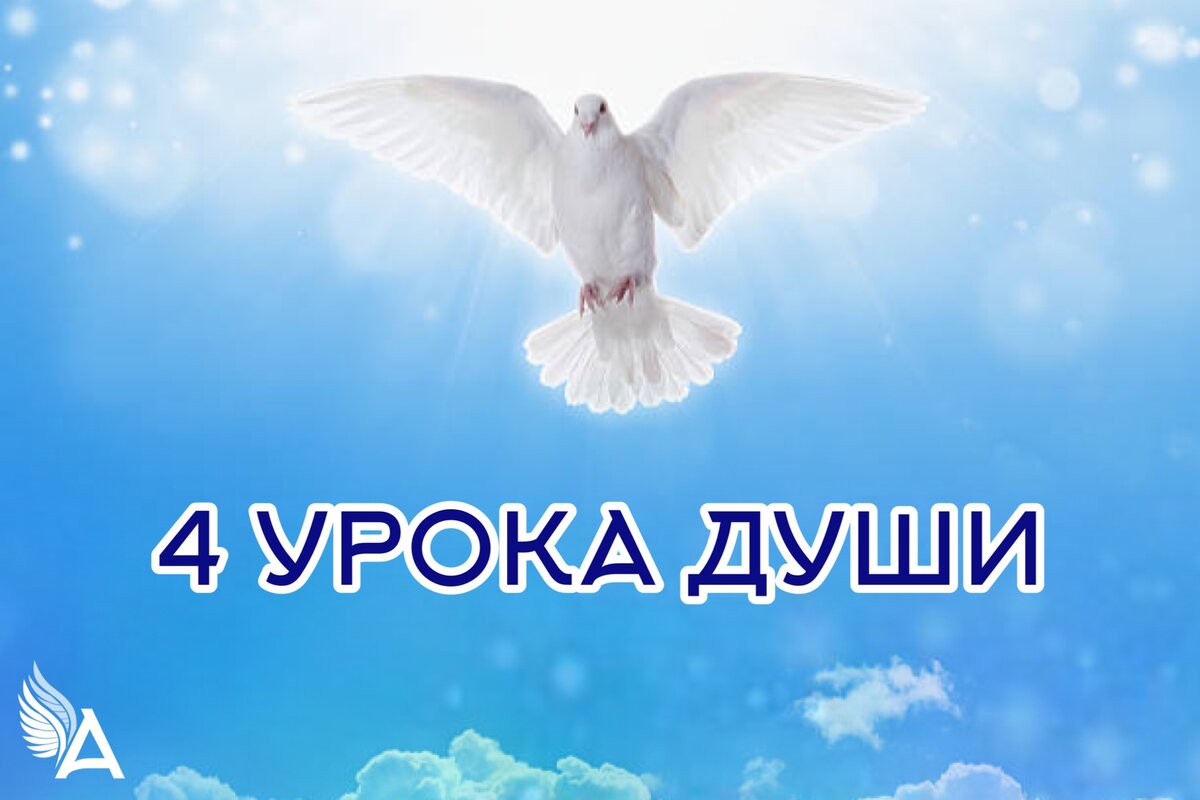 уроки души. метафорические ассоциативные карты "уроки души". уроки души. мак уроки души. уроки жизни самые лучшие.