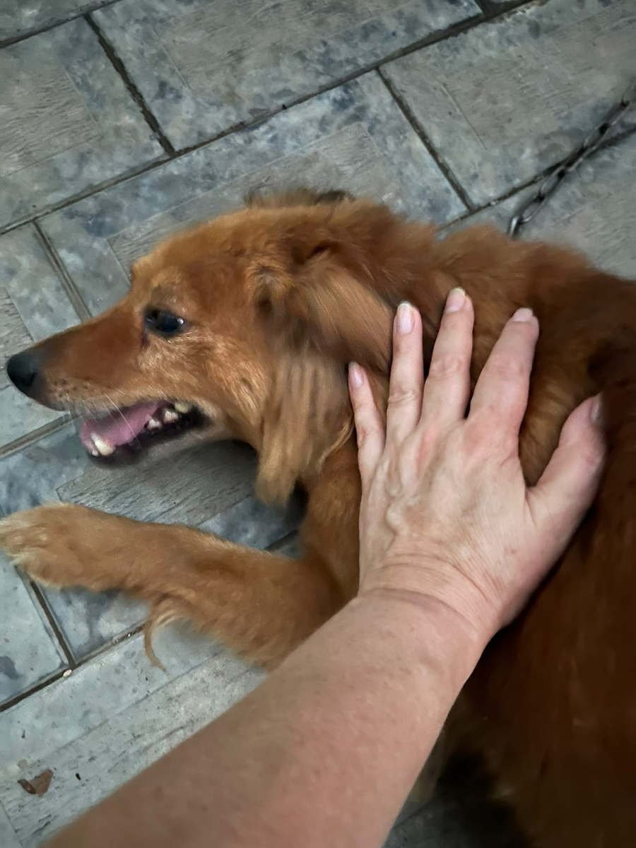 Хати, фото автора