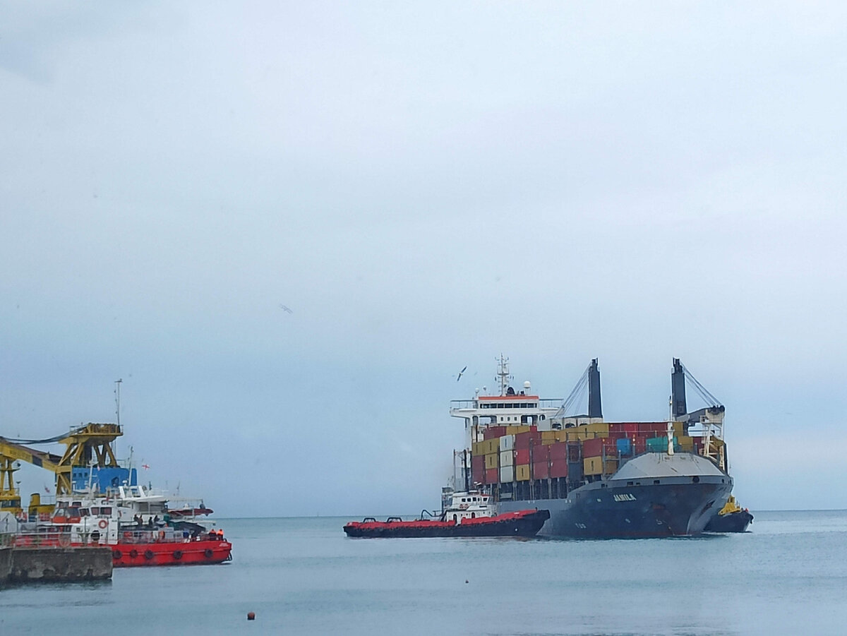 Турецкий карго. Помидоры или байрактары?🤔