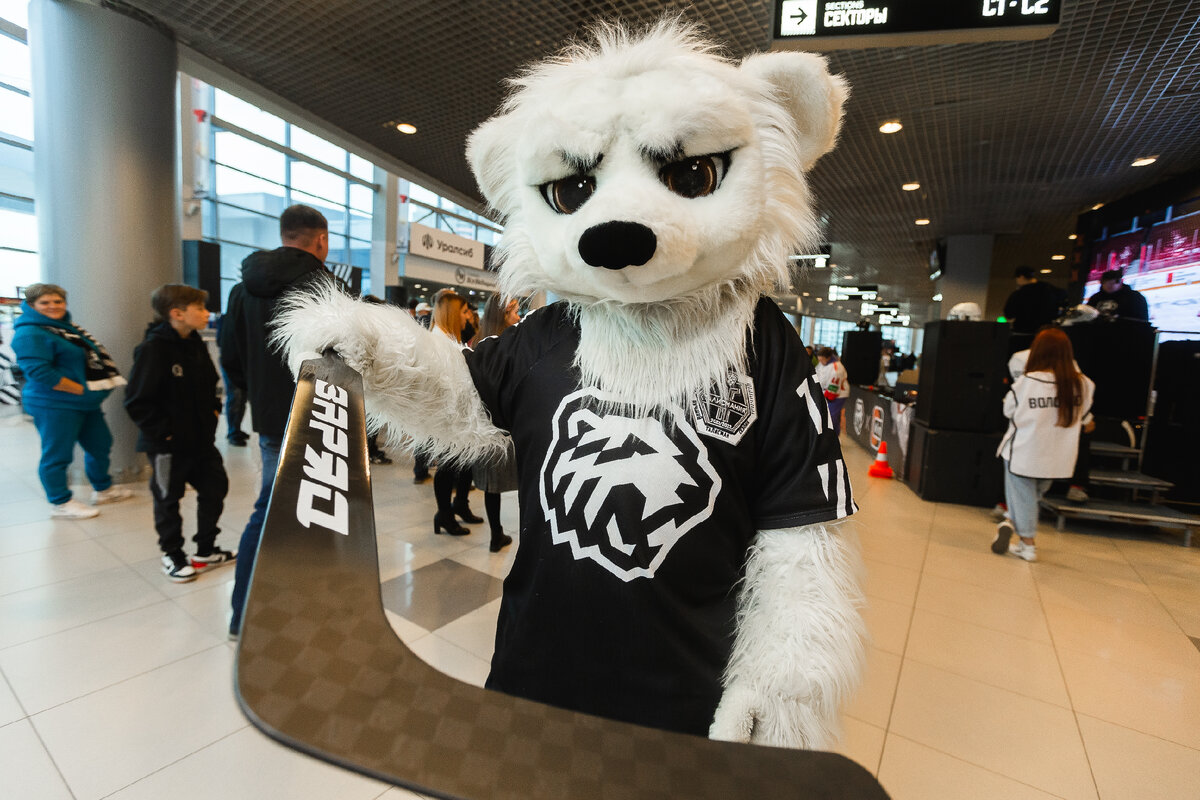 Команда «ЗаряД»: ХК Трактор