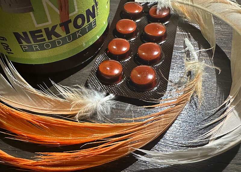    С доступностью каких препаратов возникли трудности у российских ветеринарных клиник