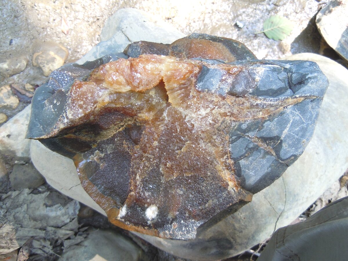 Этот осколок как бы сердолика уже известен множеству читателей Википедии, а благодаря копирайтерам, ещё и большему их количеству. Но сейчас он определяется как кварц, подвергнувшийся воздействию огнём.-59