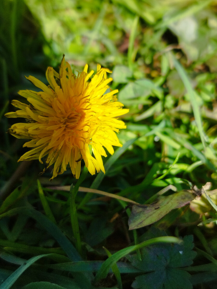 Фото из личного архива автора