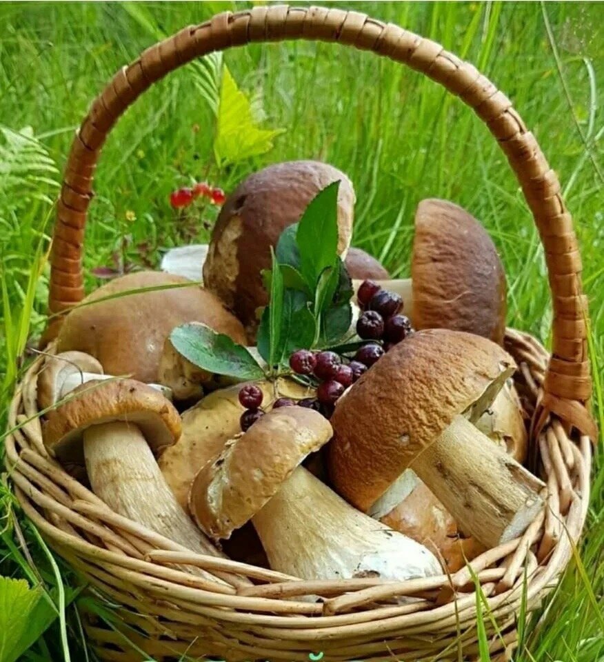 С просторов интернета 