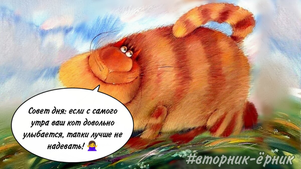 Cовет дня: если ваш кот довольно улыбается с самого утра, тапки лучше не надевать!