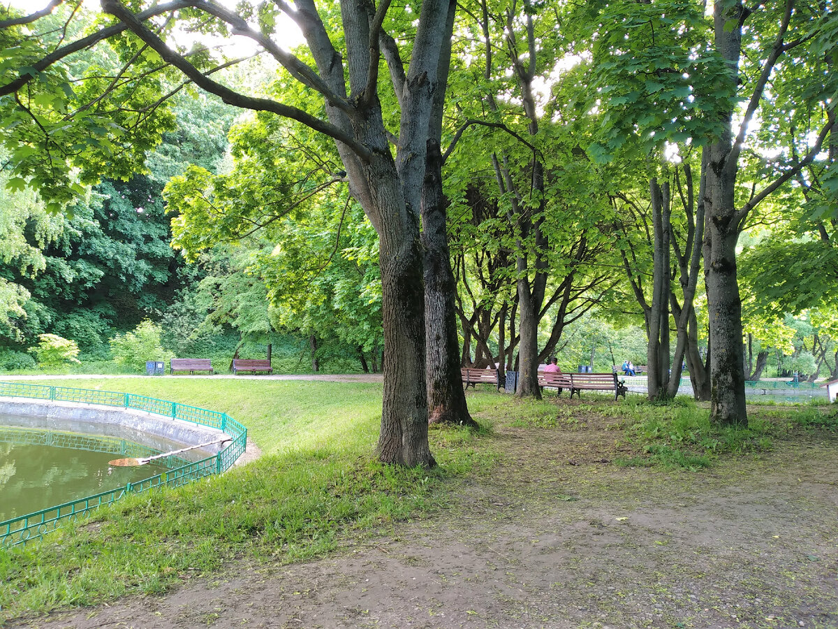 Репортаж парка. Репортаж парка