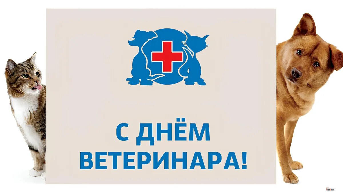 Праздник официально утвержден 11 июня 2014 года. Фото: Весь Искитим