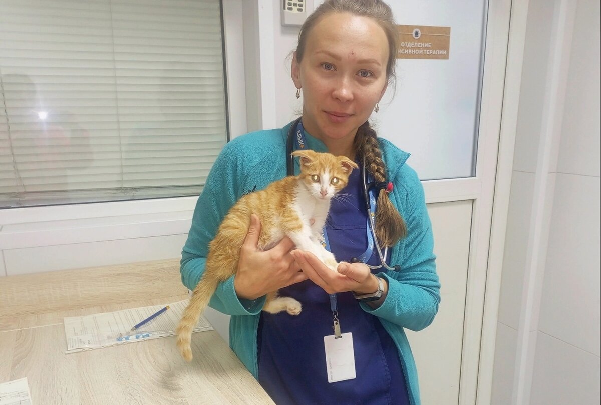 Надёжные руки доктора передают Бусю в заботливые руки опекунов