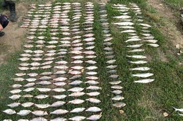    Фото: Пресс-служба УТ МВД России по СКФО