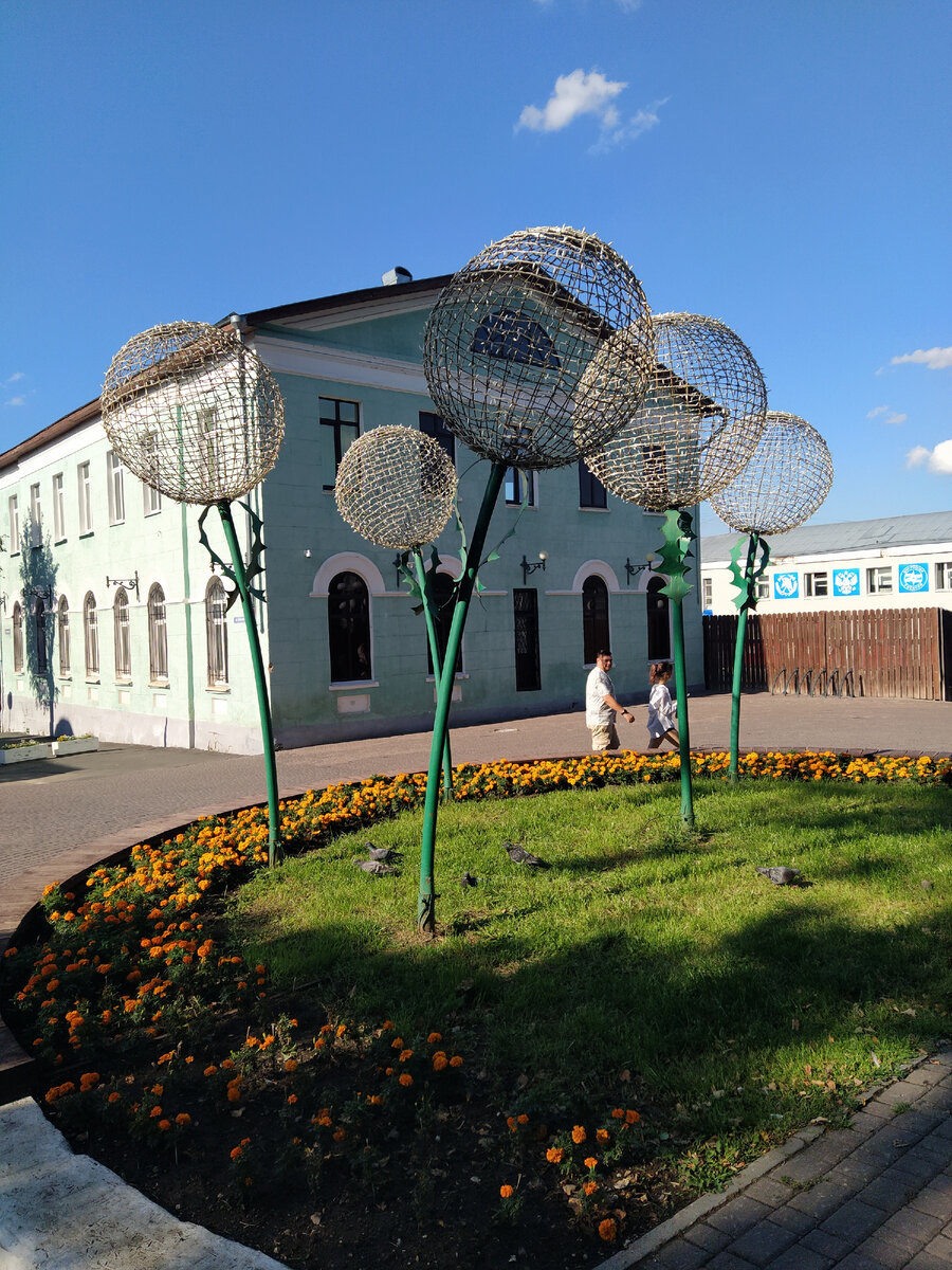 Вот такие одуванчики, ночью светятся наверное (ФОТО СУПРУГИ АВТОРА)