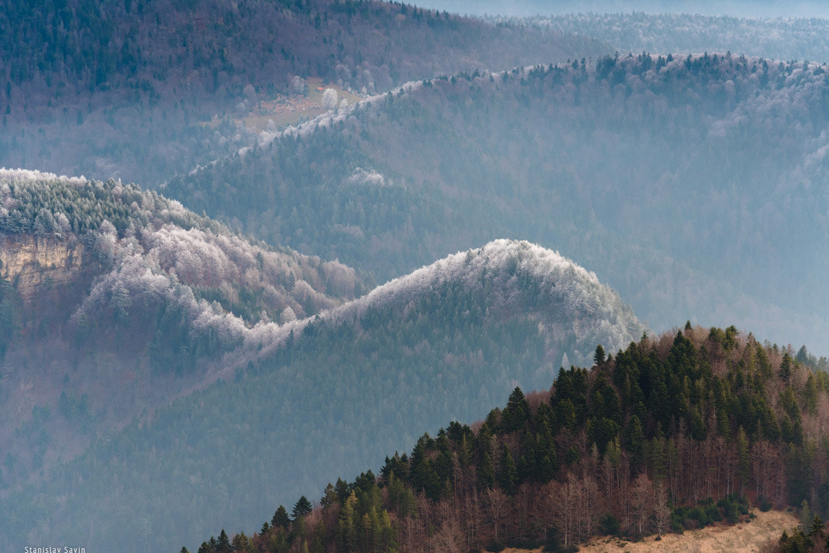 Мокра гора Сербия