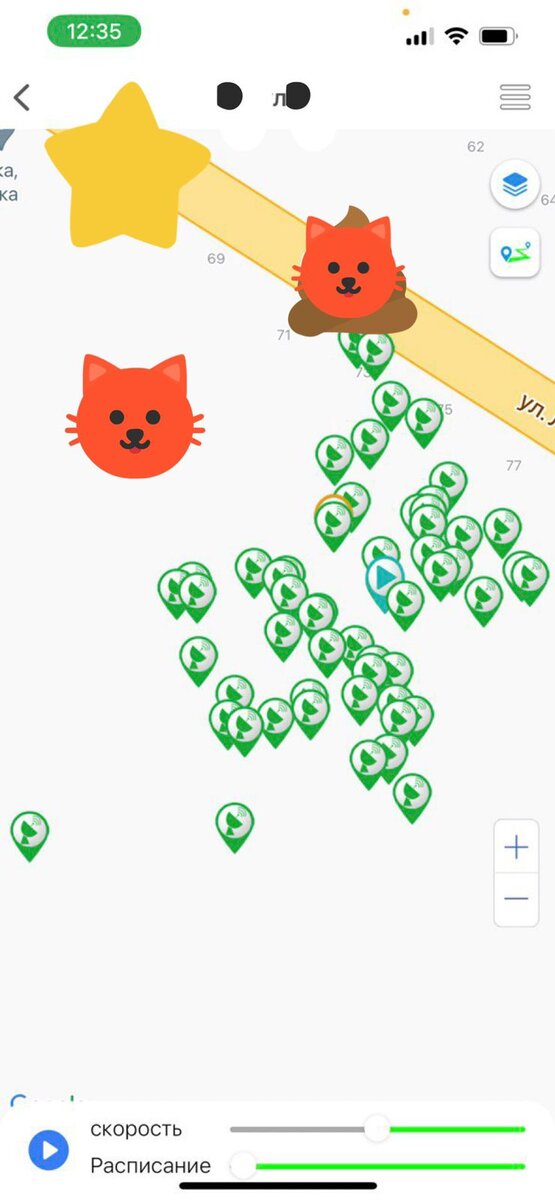 За четыре часа кот намотал километры дорог. Фото Е. Денисовой.