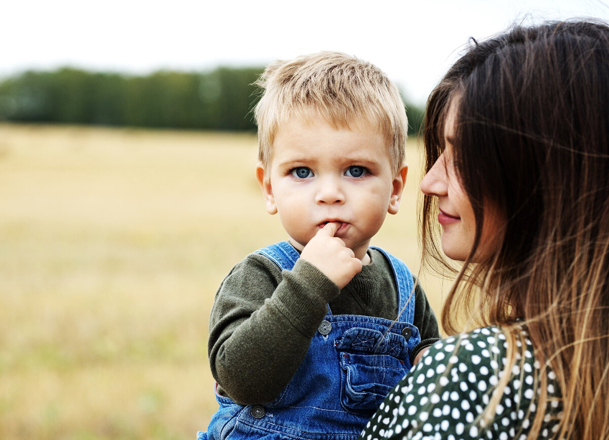 Картинка из источника в свободном доступе.